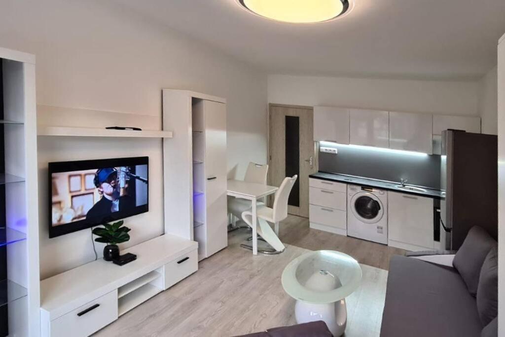 Utulny Apartman V Centru, S Krasnym Vyhledem Decin Kültér fotó