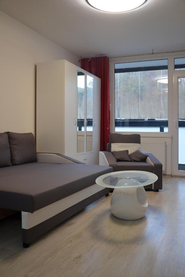 Utulny Apartman V Centru, S Krasnym Vyhledem Decin Kültér fotó