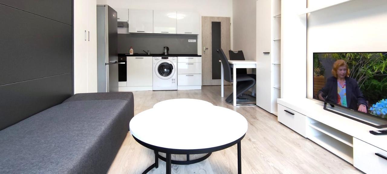 Utulny Apartman V Centru, S Krasnym Vyhledem Decin Kültér fotó
