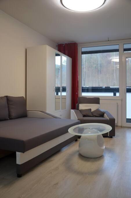Utulny Apartman V Centru, S Krasnym Vyhledem Decin Kültér fotó