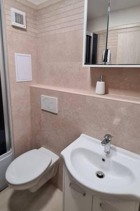 Utulny Apartman V Centru, S Krasnym Vyhledem Decin Kültér fotó