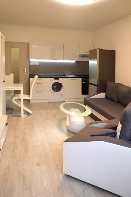 Utulny Apartman V Centru, S Krasnym Vyhledem Decin Kültér fotó